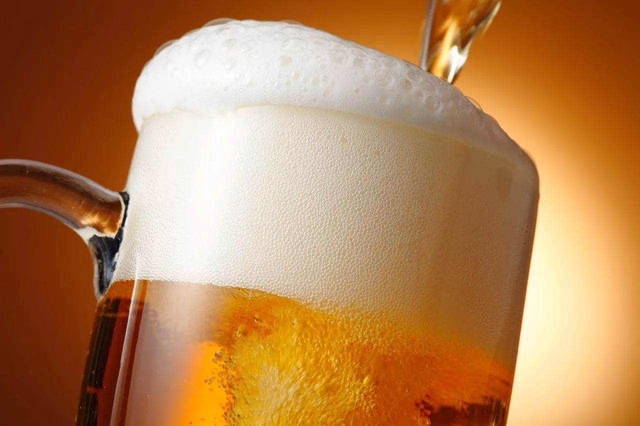 beer foam,beer system,rich beer foam,beer brewing